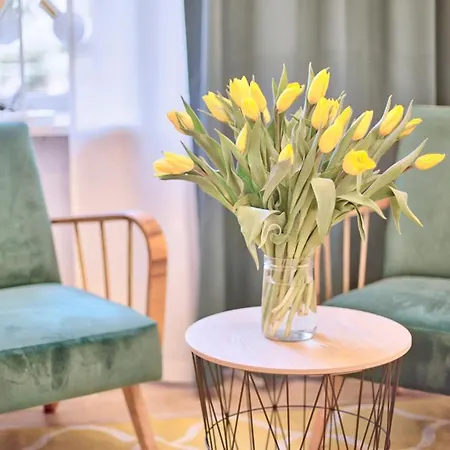 Apartment Tyzenhauz Comfort
